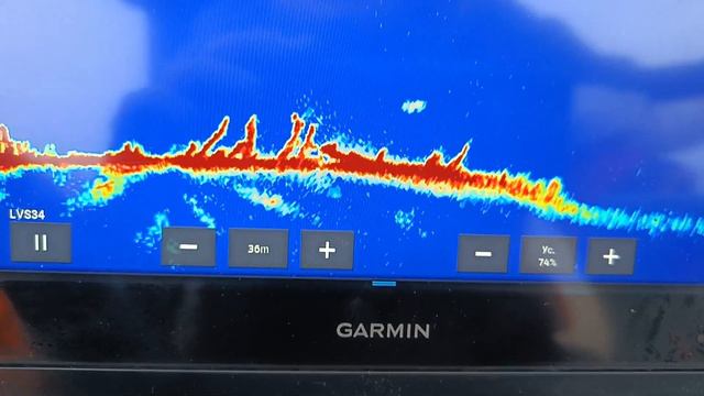 Garmin Gls10 Lvs34 - судак не клюнул )