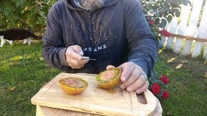 ТоматДикий Тимьян (проба) самый вкусный томат