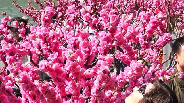 Летний Императорский дворец — парк Ихэюань в Пекине 2015 смотреть онлайн