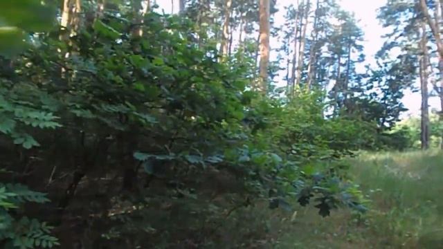 САМВЕЛ АДАМЯН ЭДИК ОСТАЛСЯ БЕЗ ДЕНЕГ С ЮТУБА. ЧТО МАТЬ СДЕЛАЕТ С ПОПРОШАЙКАМИ