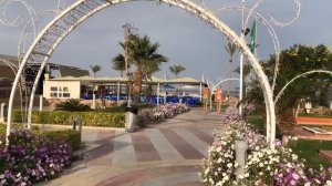 Royal Albatros Moderna 5 *.  Sharm el Sheikh