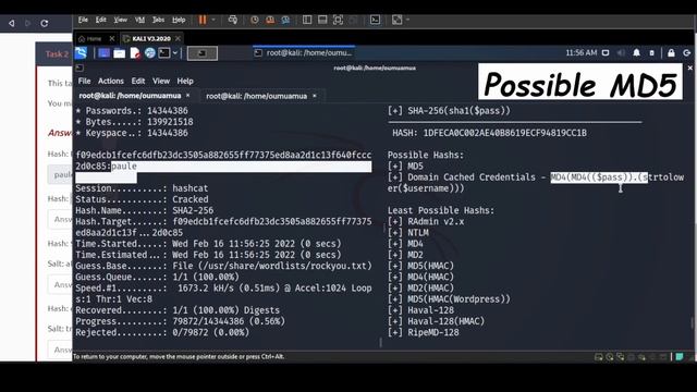 How to use hash-identifier and hashcat to decode diferents hashes смотреть онлайн