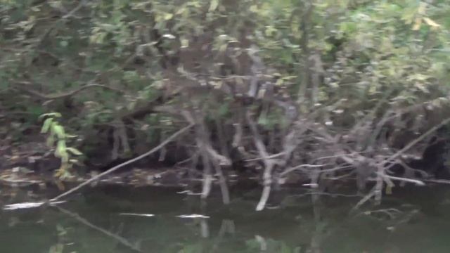 Ловля щуки и окуня. НА РЫБАЛКЕ ? смотреть онлайн