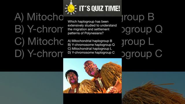 Which haplogroup is used to study migration and settlement patterns of Polynesians? смотреть онлайн