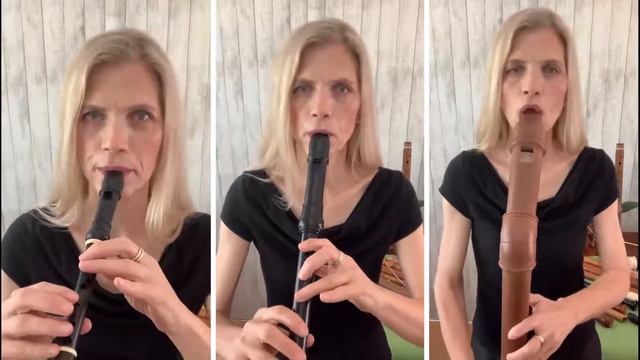 Inga Funck ~ soprano, alto and bass recorders ~ playing "Shalom Aleichem", arranged by Gil Aldema смотреть онлайн