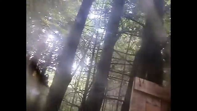 ХК Регион 35 смотреть онлайн