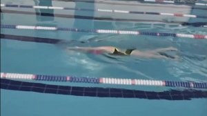 кроль на груди - техника плавания