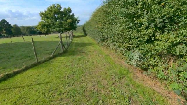 Hohem ISteady Pro 4 Gimbal - A Great Budget Gimbal For The GoPro Or Osmo Action