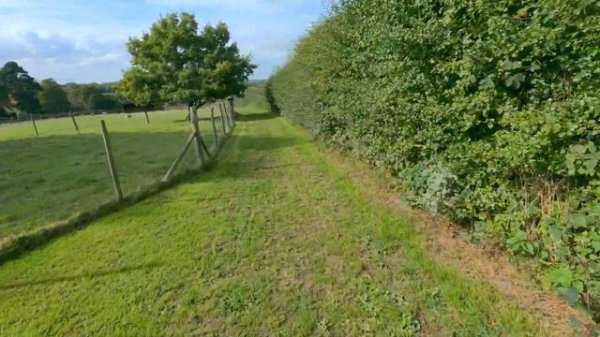 Hohem ISteady Pro 4 Gimbal - A Great Budget Gimbal for the GoPro or Osmo Action