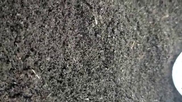 Биогумус чёрной львинки. смотреть онлайн