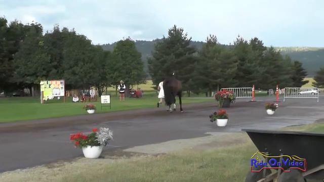 042J2 Becky Farrell on Gia CCI1* FEI Jog 2 The Event at Rebecca Farm July 2015 смотреть онлайн