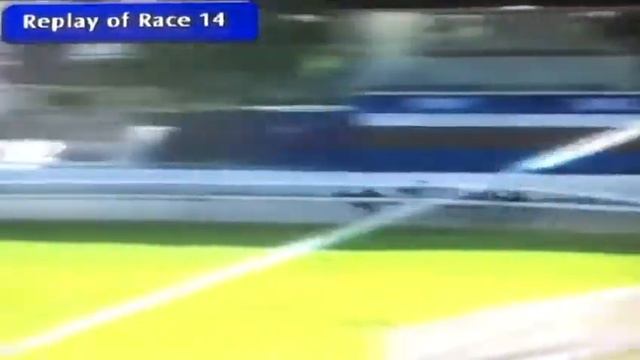 Bubbly Swift Winning Her Race In Trap 3 At Romford. Xxx смотреть онлайн