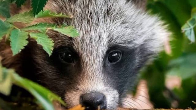 Стих " Я говорил ему о Боге" смотреть онлайн