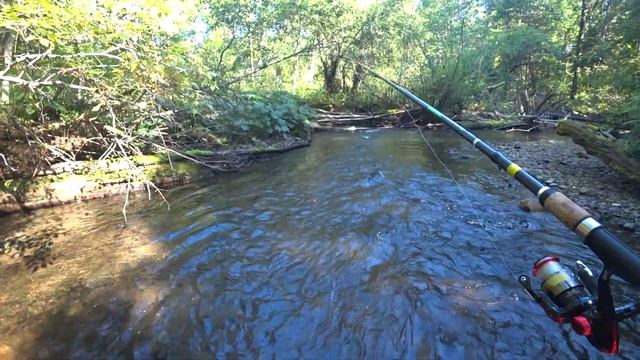 ВГЛУБЬ ТАЙГИ Ч.1/РЫБАЛКА НА ХАРИУСА И ЛЕНКА!!!ТРИ ДНЯ ОТДЫХА В ТАЙГЕ!!! смотреть онлайн