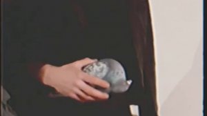 ГВИДОН ВИШНЕВСКИЙ «Как создать шедевр». Лапенко.