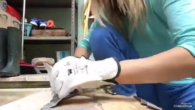 Как сделать дверь для печи ( the door for oven ) смотреть онлайн