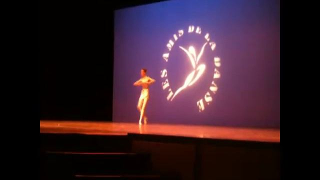 Pro Arte Dance Theatre Margherita Lombardo смотреть онлайн