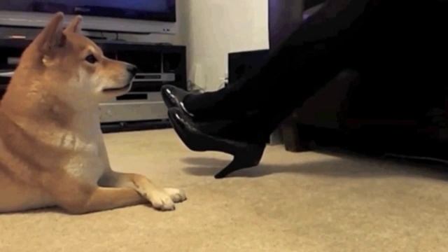 Повторялка смотреть онлайн