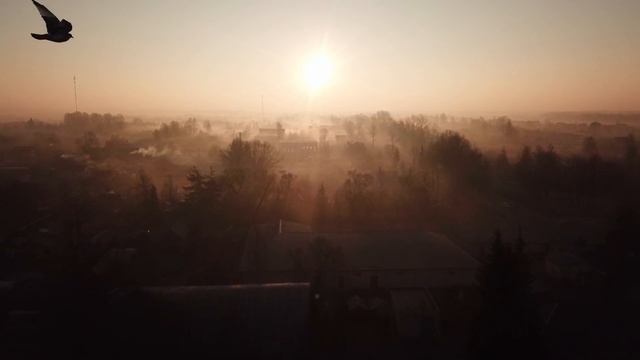 День жизни священника. Разговор с живыми и мёртвыми. Вспоминаю родной город Велиж... смотреть онлайн