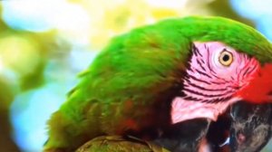 Бюджетный телевизор LG 32LQ63006LA Обзор. Плюсы и минусы