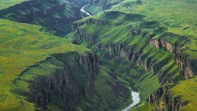 Vivaldi-Concerto in Re minore per violoncello RV 405-Brunello, L'Arte dell'Arco смотреть онлайн