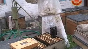 Матководство