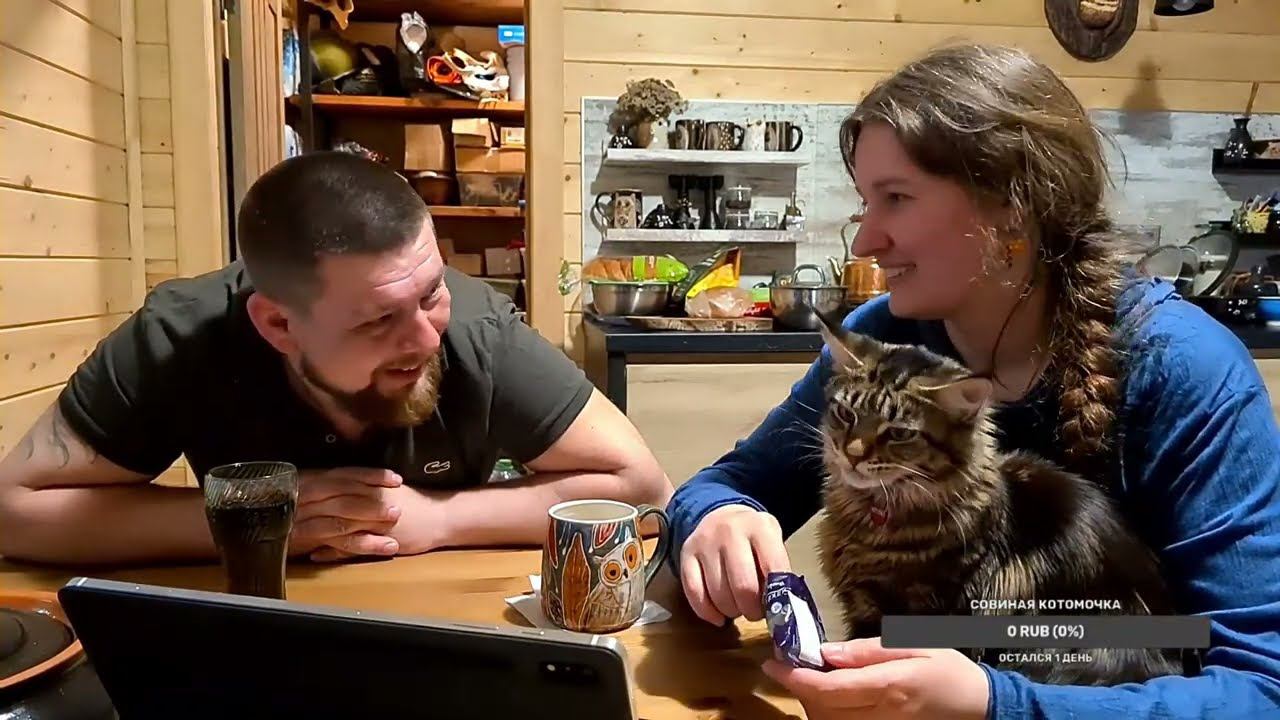 Yoll's добрый stream из Совиного дола. Болтаем дома смотреть онлайн