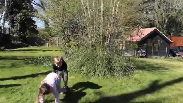 Garden games with Vicki! смотреть онлайн