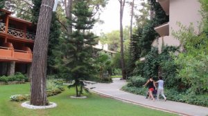 Текирово отель Марти Мира