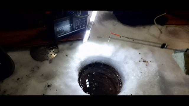 ловим рипуса ночью. смотреть онлайн