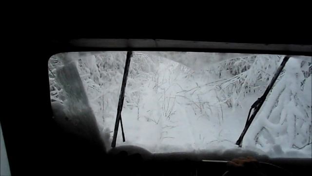 Зимний лес.wmv смотреть онлайн