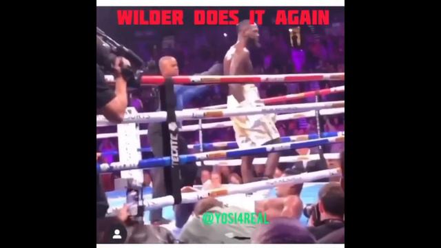 Уайлдер - Ортис 2: Обзор боя. КАК ПРОШЕЛ ПОЕДИНОК? смотреть онлайн