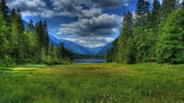 Истории из жизни Свекровь и теща постоянно требуют от нас денег Жизненные истории рассказы смотреть онлайн