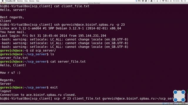 Инструкции Linux - #33 урок. Копирование файлов на сервер и обратно смотреть онлайн