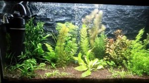 Установка дропчекера для СО2