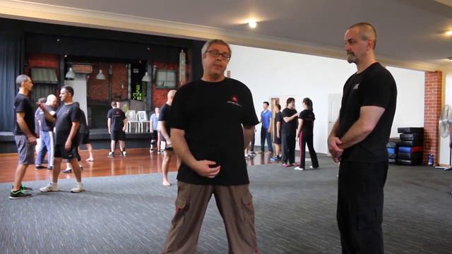 Wing Chun Structure. Sifu Tony Psaila. смотреть онлайн