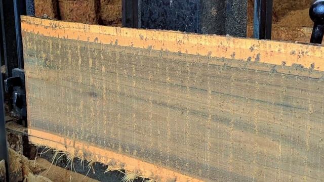 Aalot,,kayu langka dari tanah gambrol di bandrol 12 juta di gergaji sawmill.woodworking смотреть онлайн