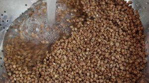 Вот почему нужно мыть гречку перед началом варки