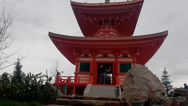 Китайское танго. УНИКАЛЬНОЕ. Chinese Tango смотреть онлайн