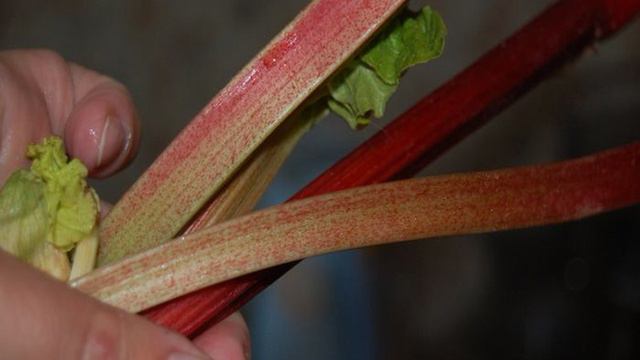 Готовим дома