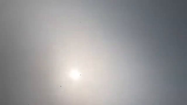 Распил из Японии