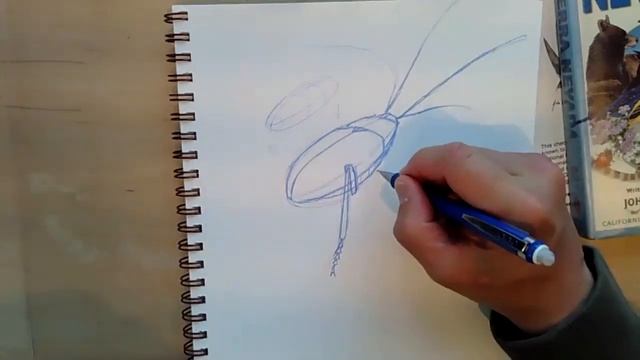 Drawing Bugs смотреть онлайн