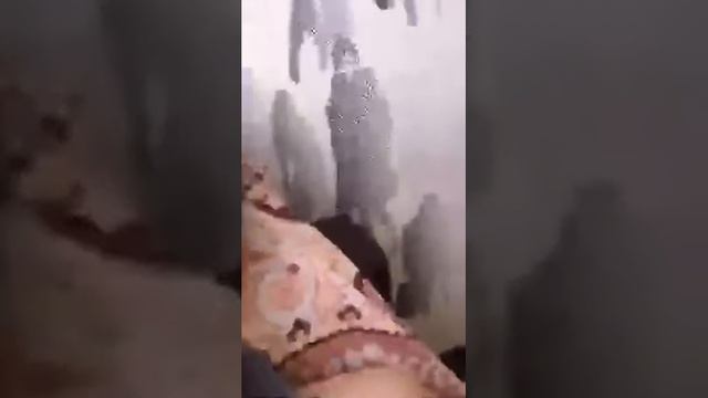 AnriAmichba014 тадааааам доброе утро смотреть онлайн