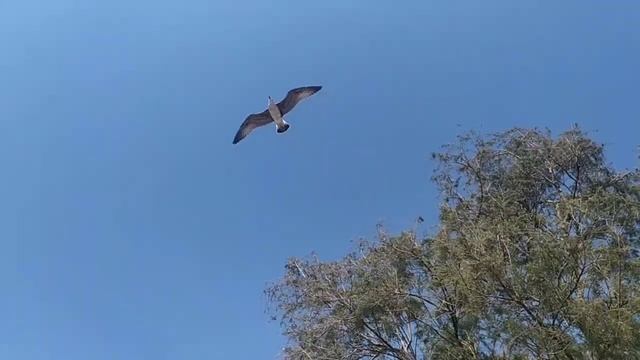 #влог?Еда и обслуживание так себе?Штормит?Измир или Батуми??Мои иголки меня найдут?Красивы закат?