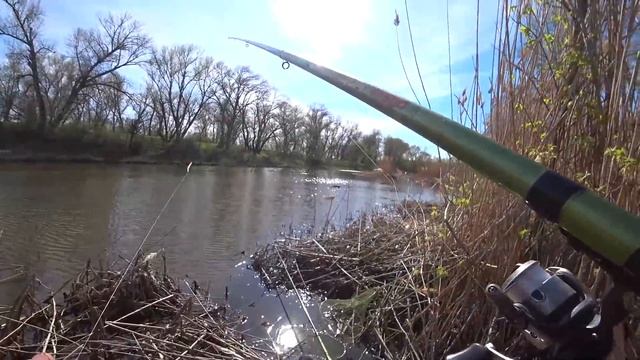 Рыбалка на вечерней зорьке на поплавок. Караси на обычную удочку смотреть онлайн