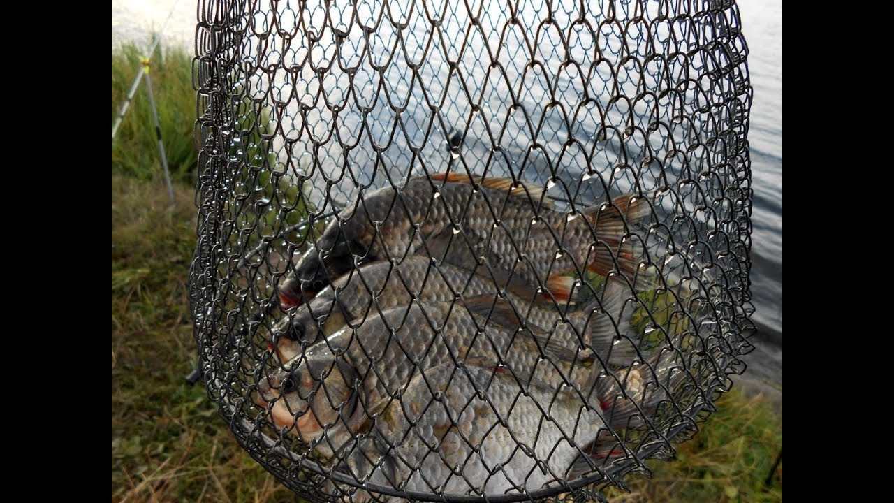 Отчёт о рыбалке Озеро Большой Сунгуль .