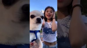 Подборка видео из тик тока - Милана Хаметова #миланахаметова #milanakhametova