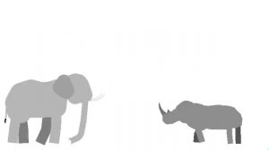 Elephant vs Rhino