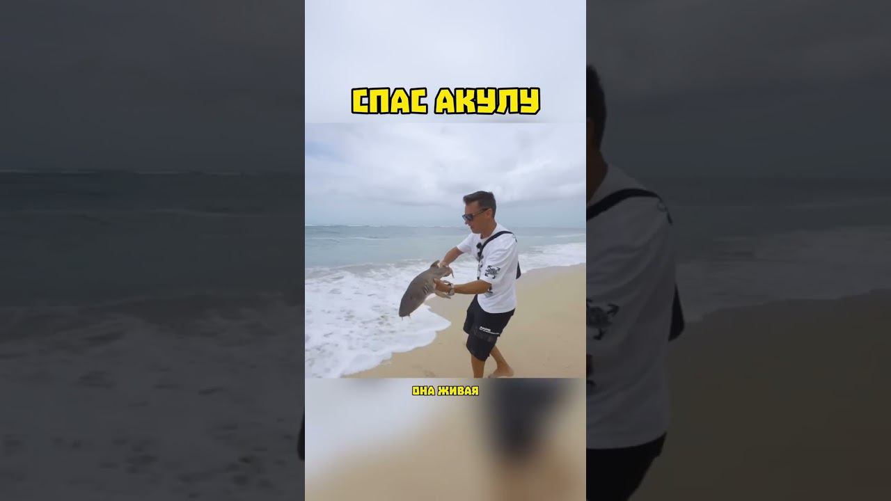 А вы бы как поступили на моем месте? смотреть онлайн