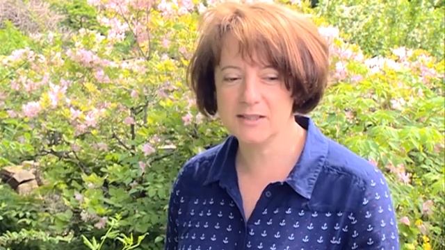 Владивостокский ботанический сад уводит гостей в удивительный зеленый мир смотреть онлайн